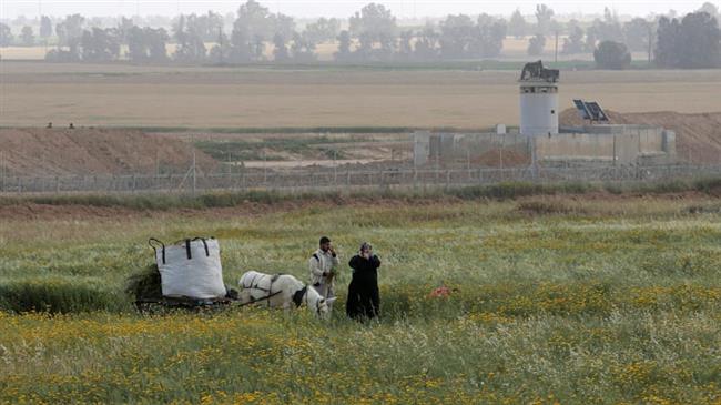 Pesawat Israel Semprotkan Herbisida Beracun ke Tanah Pertanian Palestina di Gaza